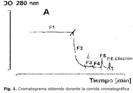 Fig. 1. Cromatograma obtenido durante la corrida cromatográfica