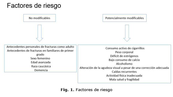 Fig. 1. Factores de riesgo