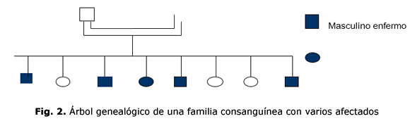 Fig. 2. Árbol genealógico de una familia consanguínea con varios afectados