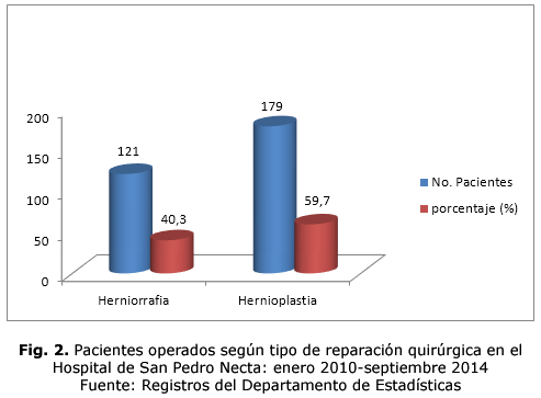 Fig. 2. Pacientes operados según tipo de reparación quirúrgica en el Hospital de San Pedro Necta: enero 2010-septiembre 2014