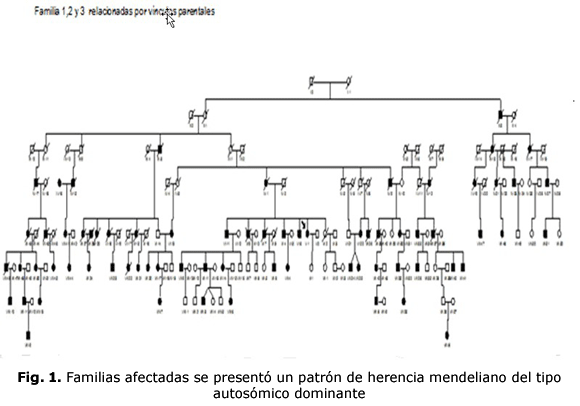 Fig. 1. Familias afectadas se presentó un patrón de herencia mendeliano del tipo autosómico dominante